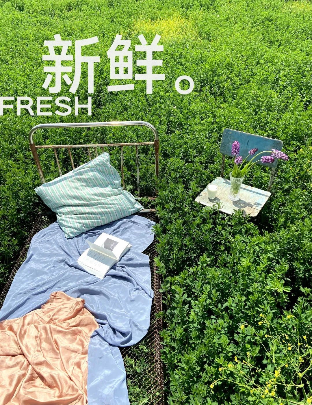 1681213420103895.jpg adsfasdfasdfasdf.jpg